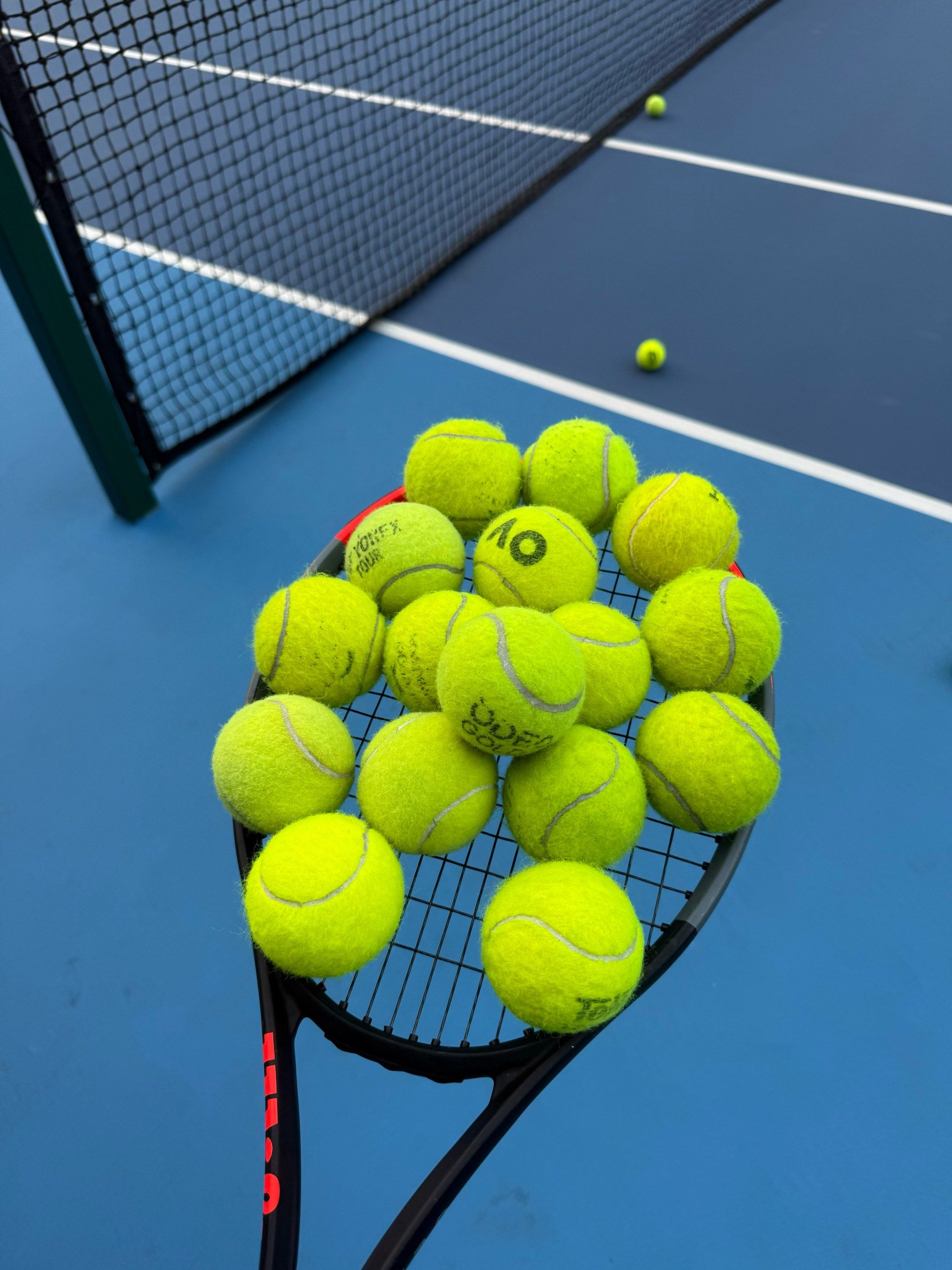 持了较高的 持了较高的