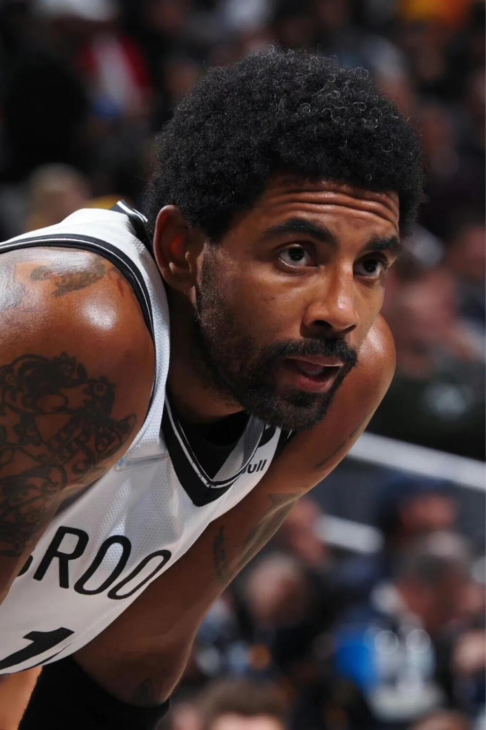 简化阅读 简化阅读