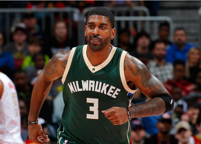 瑟洛特的支 瑟洛特的支